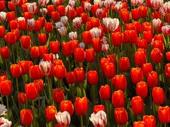 -玄武湖景区-情侣园游乐场