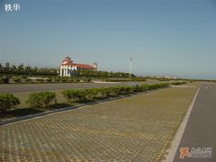 -碧海金沙