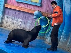 -华夏文旅海洋公园