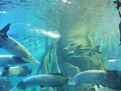 -多彩贵州城极地海洋世界