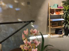 -施奈儿.洗头頭療.按摩SPA.采耳(上梅林店)