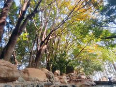 -湖泉半山温泉