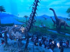 -辽宁古生物博物馆