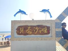 -贝壳沙滩