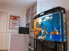 -足来足往养生会所