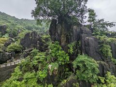-玉石林风景区