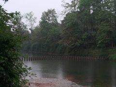 -望江饭店(13年精品店)