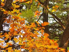 -长春市南湖公园