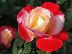 -文华公园(禅城区)