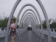 -大兴滨河森林公园