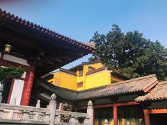 -灵谷景区