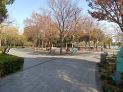 -南翔镇银翔湖公园