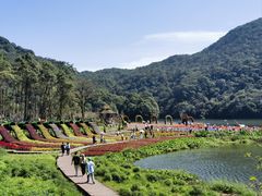-广州市石门国家森林公园