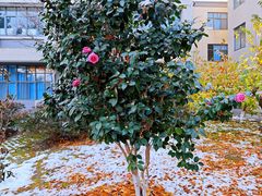 -江南大学(蠡湖校区)