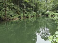 -素山寺森林公园