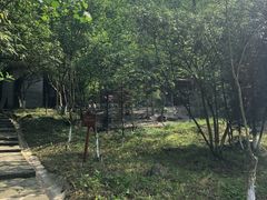 -都江堰中华大熊猫苑