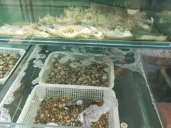 -鲁前海沿儿