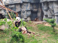 -泉州海丝野生动物世界