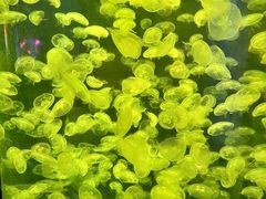 -海合安青岛极地海洋公园