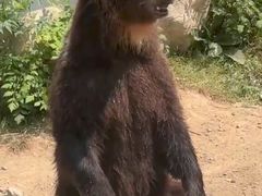 -石家庄市动物园