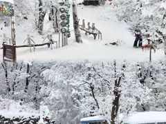 -中旅松花湖滑雪场
