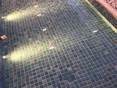 -天空花园餐吧·生日·团建(南山店)