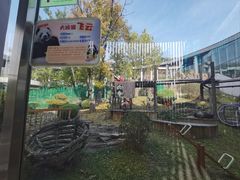 -大连森林动物园