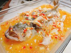 招牌柠檬鱼-佬肥猫(国华广场店)