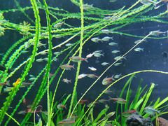 -上海海洋水族馆