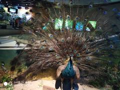 -陕西自然博物馆