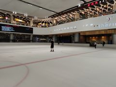 -TheRink大零溜冰场(IFS国金中心店)