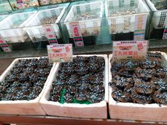 水产区-花好悦园(瀛洲店)