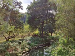 -白马涧龙池景区
