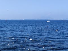 -大连海昌东方水城