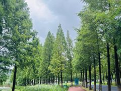 -东钱湖旅游度假区