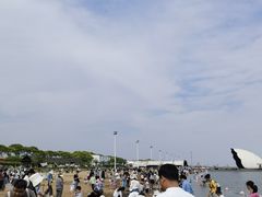 -碧海金沙
