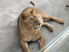 -西安秦岭野生动物园