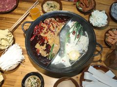 -阳阳老火锅(小南门店)
