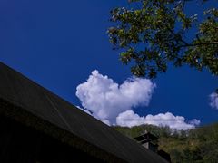 -西双版纳原始森林公园