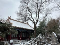 -戏马台景区