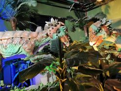 -恐龙探索乐园(磁器口店)