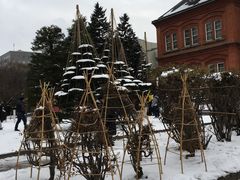 -北海道厅旧本厅舍(旧本庁舎)