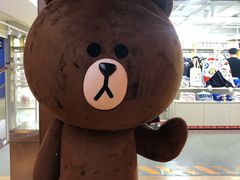 -line friends(明洞旗舰店)