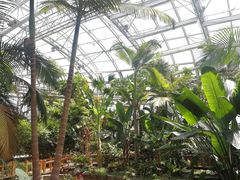 -北京植物园-展览温室