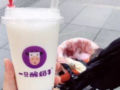 -一只酸奶牛(八一路店)