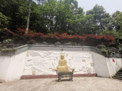 -大金鹰园