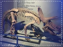 -恐龙探索乐园(磁器口店)