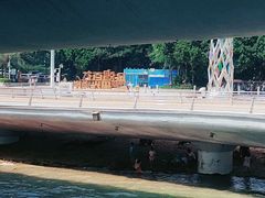 -演武大桥观景平台