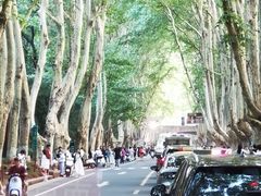 -南京东郊国宾馆