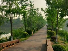 -白鹭湾湿地公园